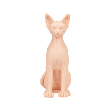 A Pound of Flesh Sphynx Nakenkatt